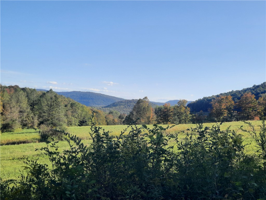 Tbd Lower Dingle Hill Road Andes, NY 13731 - Photo 11 of 48