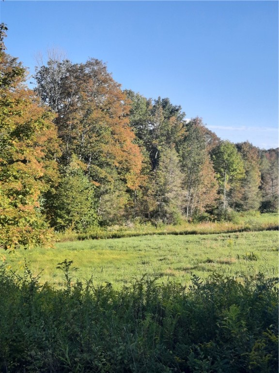 Tbd Lower Dingle Hill Road Andes, NY 13731 - Photo 12 of 48