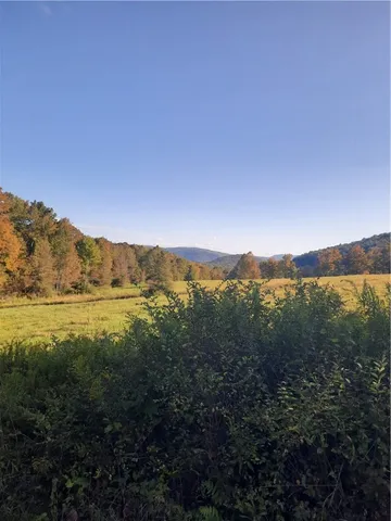 $249,000 | Tbd Lower Dingle Hill Road, Andes, NY 13731