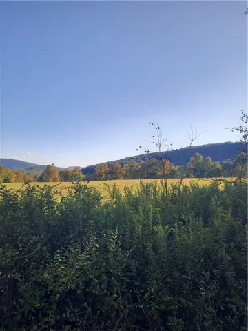 $249,000 | Tbd Lower Dingle Hill Road, Andes, NY 13731