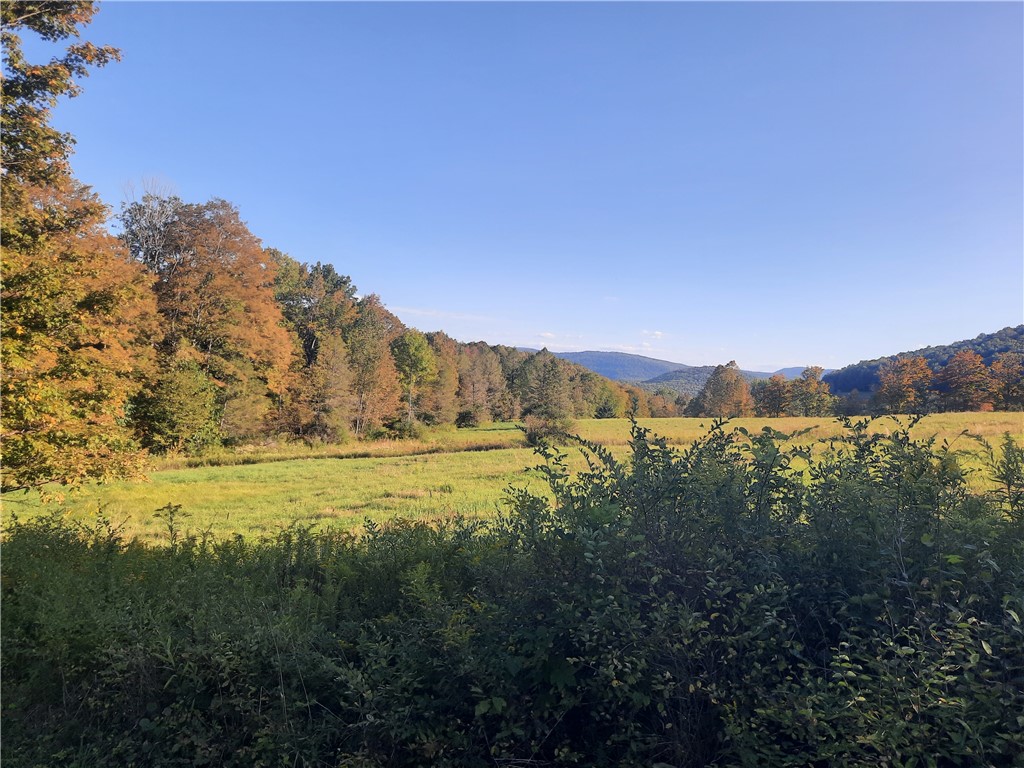 Tbd Lower Dingle Hill Road Andes, NY 13731 - Photo 15 of 48