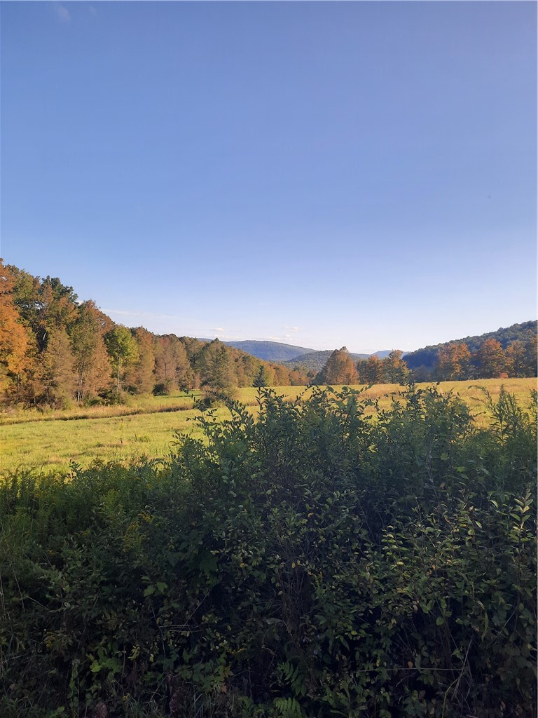 Tbd Lower Dingle Hill Road Andes, NY 13731 - Photo 15 of 50