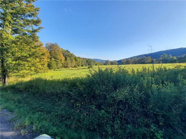 $249,000 | Tbd Lower Dingle Hill Road, Andes, NY 13731