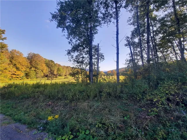 $249,000 | Tbd Lower Dingle Hill Road, Andes, NY 13731