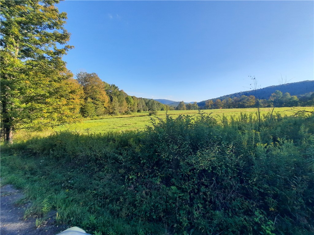 Tbd Lower Dingle Hill Road Andes, NY 13731 - Photo 17 of 50