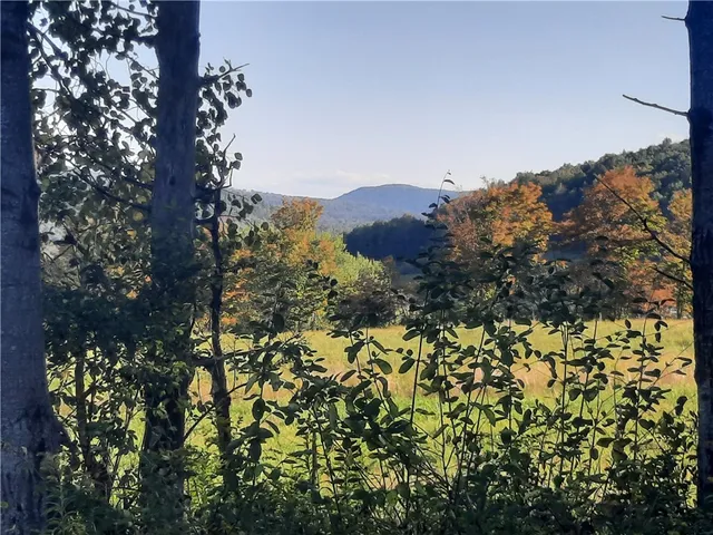 $249,000 | Tbd Lower Dingle Hill Road, Andes, NY 13731