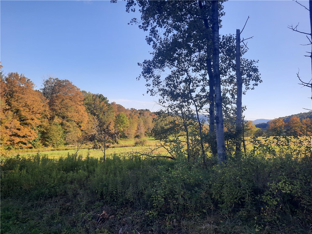 Tbd Lower Dingle Hill Road Andes, NY 13731 - Photo 19 of 48