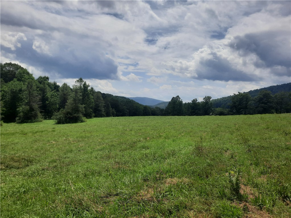 Tbd Lower Dingle Hill Road Andes, NY 13731 - Photo 2 of 50