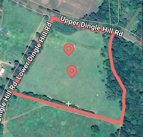 $249,000 | Tbd Lower Dingle Hill Road, Andes, NY 13731