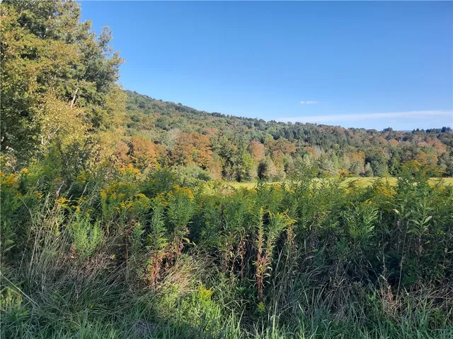 $249,000 | Tbd Lower Dingle Hill Road, Andes, NY 13731
