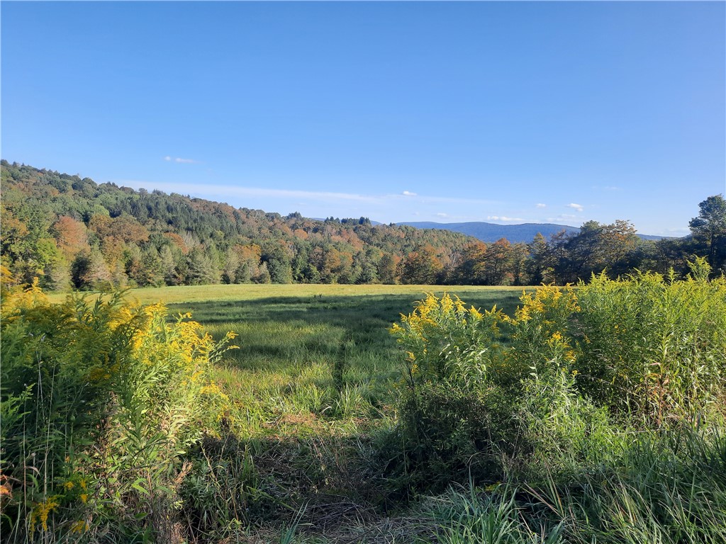 Tbd Lower Dingle Hill Road Andes, NY 13731 - Photo 21 of 50