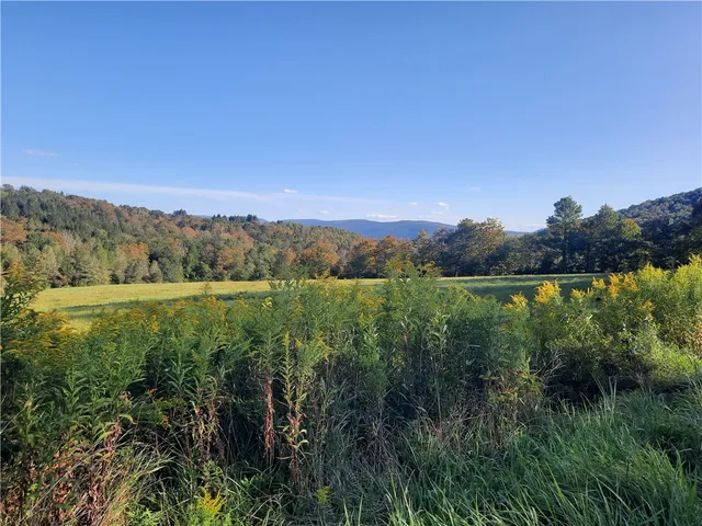 $249,000 | Tbd Lower Dingle Hill Road, Andes, NY 13731