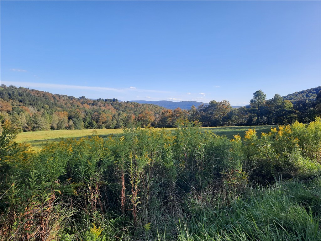 Tbd Lower Dingle Hill Road Andes, NY 13731 - Photo 23 of 50