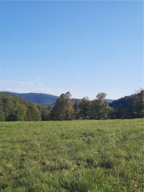 Tbd Lower Dingle Hill Road Andes, NY 13731 - Photo 23 of 48