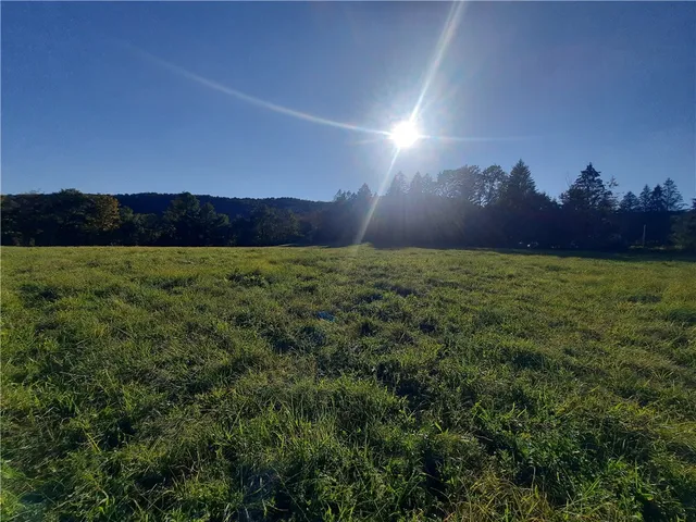 $249,000 | Tbd Lower Dingle Hill Road, Andes, NY 13731