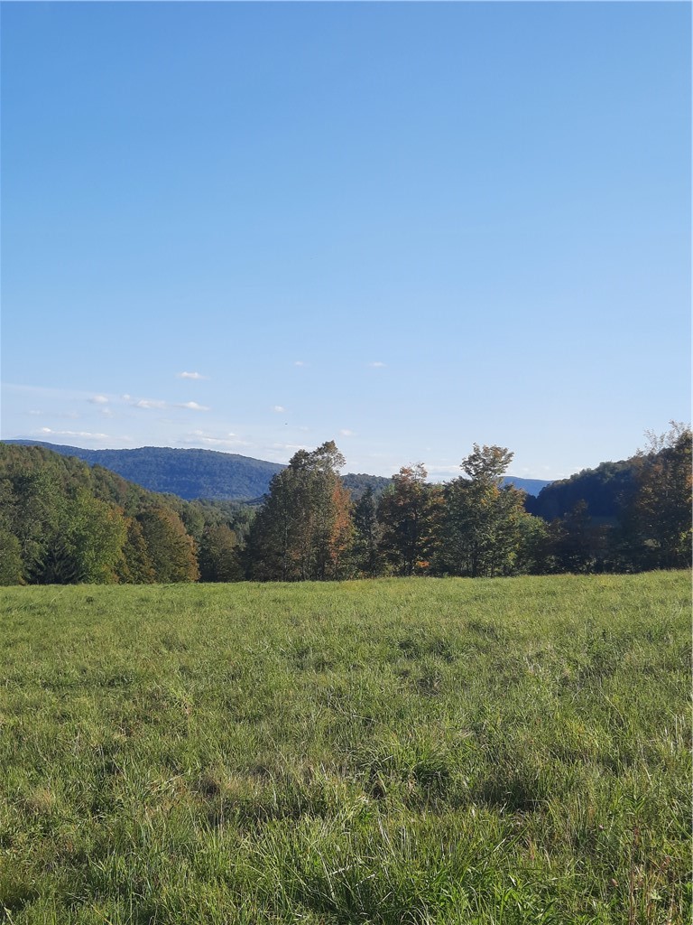 Tbd Lower Dingle Hill Road Andes, NY 13731 - Photo 24 of 50