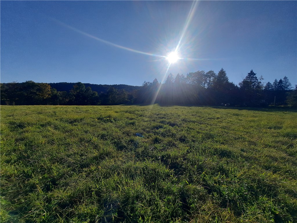 Tbd Lower Dingle Hill Road Andes, NY 13731 - Photo 25 of 50