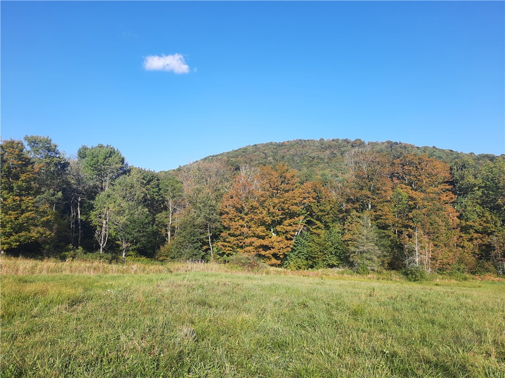 Tbd Lower Dingle Hill Road Andes, NY 13731 - Photo 25 of 48