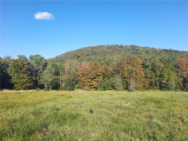 $249,000 | Tbd Lower Dingle Hill Road, Andes, NY 13731