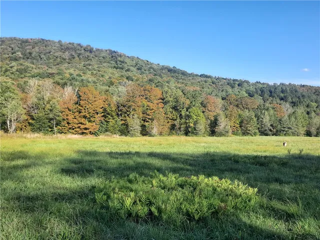 $249,000 | Tbd Lower Dingle Hill Road, Andes, NY 13731