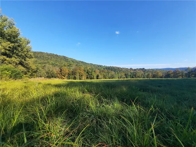$249,000 | Tbd Lower Dingle Hill Road, Andes, NY 13731