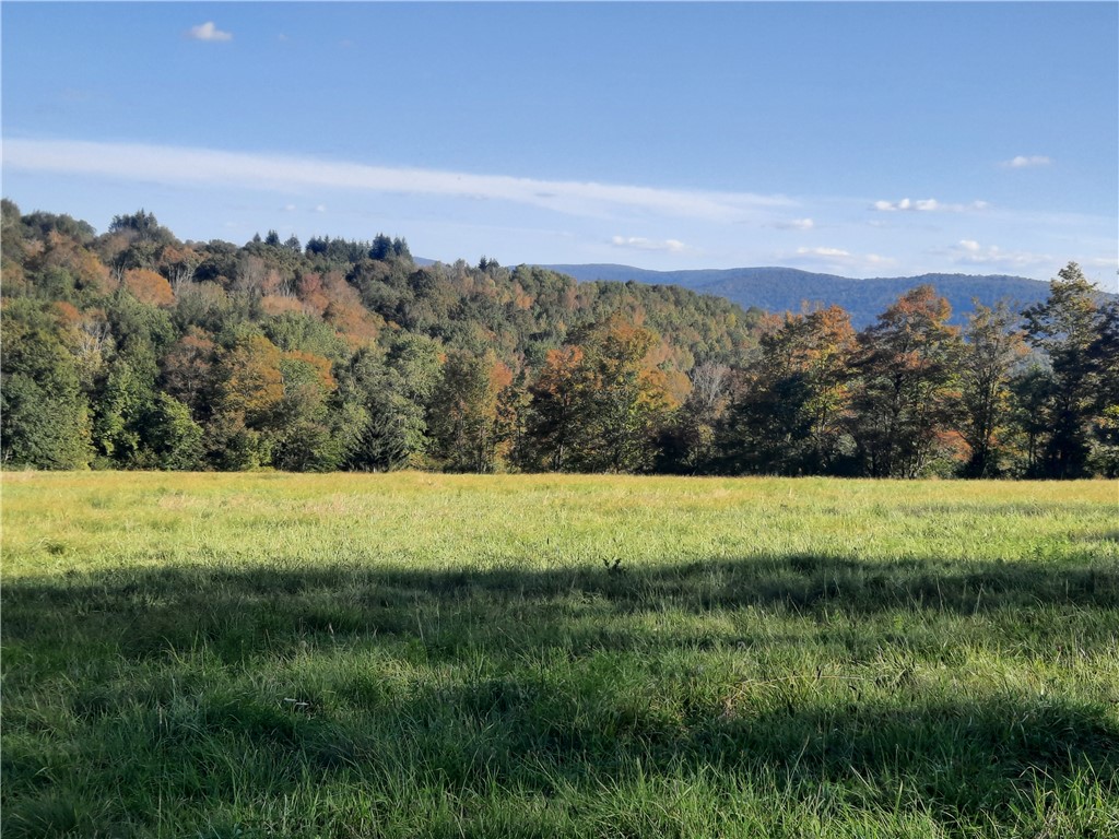 Tbd Lower Dingle Hill Road Andes, NY 13731 - Photo 30 of 50