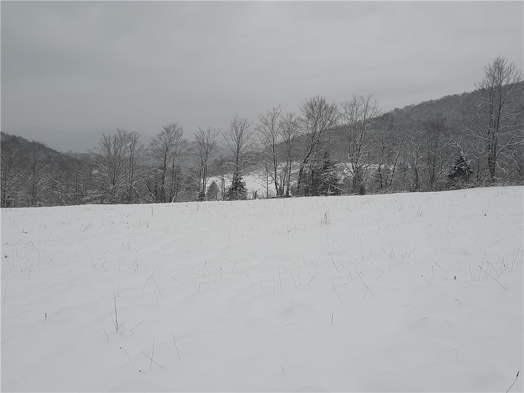 Tbd Lower Dingle Hill Road Andes, NY 13731 - Photo 3 of 50