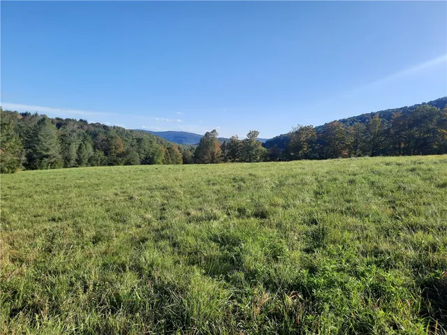 $249,000 | Tbd Lower Dingle Hill Road, Andes, NY 13731