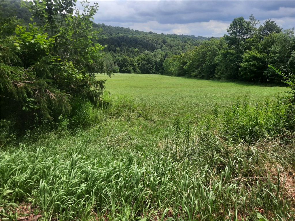 Tbd Lower Dingle Hill Road Andes, NY 13731 - Photo 31 of 48