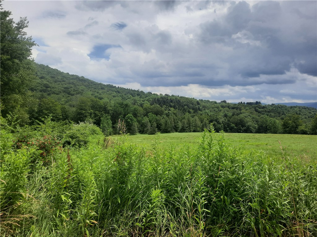 Tbd Lower Dingle Hill Road Andes, NY 13731 - Photo 33 of 50