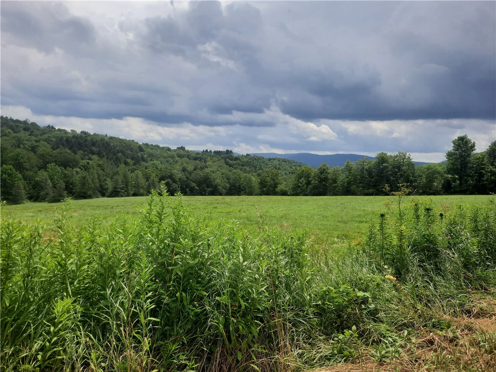 Tbd Lower Dingle Hill Road Andes, NY 13731 - Photo 34 of 50