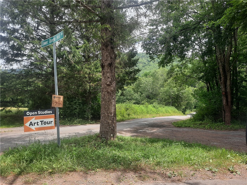 Tbd Lower Dingle Hill Road Andes, NY 13731 - Photo 34 of 48