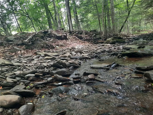 $249,000 | Tbd Lower Dingle Hill Road, Andes, NY 13731