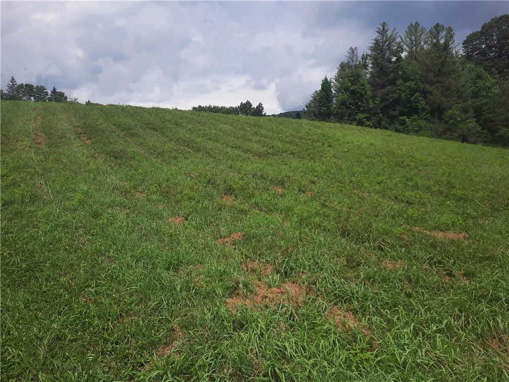 Tbd Lower Dingle Hill Road Andes, NY 13731 - Photo 36 of 48