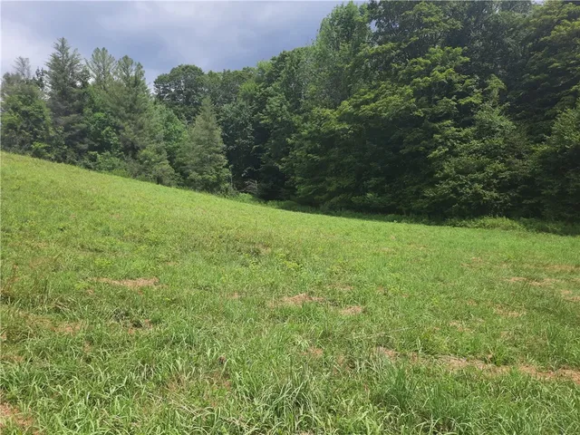 $249,000 | Tbd Lower Dingle Hill Road, Andes, NY 13731