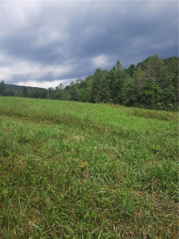 Tbd Lower Dingle Hill Road Andes, NY 13731 - Photo 38 of 48