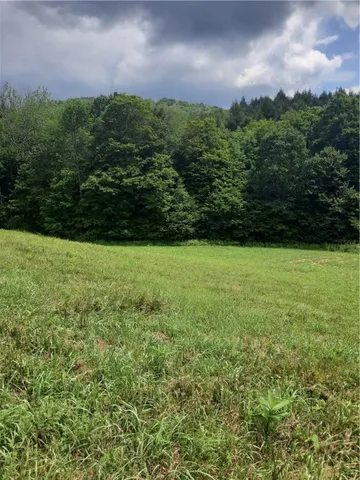 $249,000 | Tbd Lower Dingle Hill Road, Andes, NY 13731