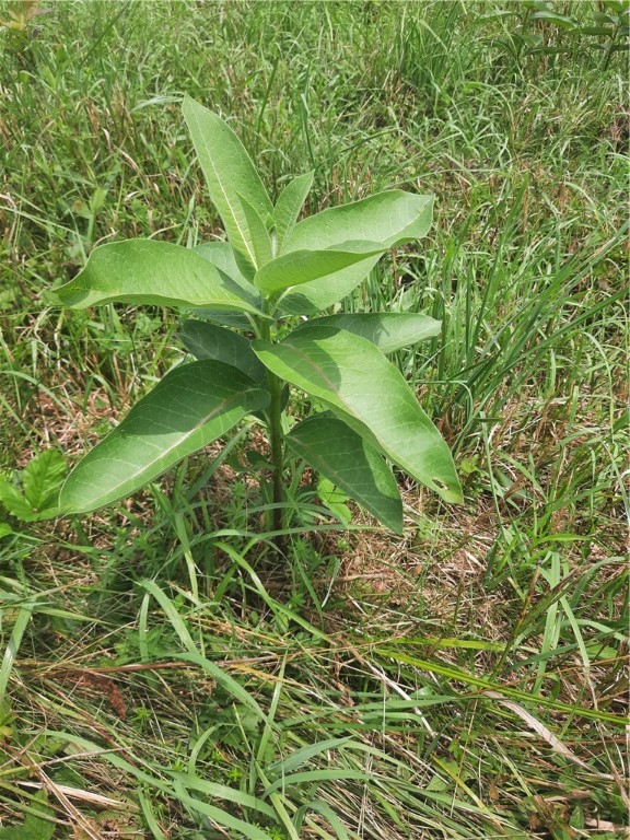 Tbd Lower Dingle Hill Road Andes, NY 13731 - Photo 40 of 48