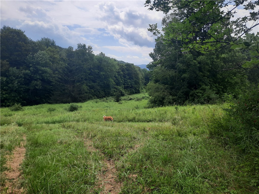 Tbd Lower Dingle Hill Road Andes, NY 13731 - Photo 41 of 48