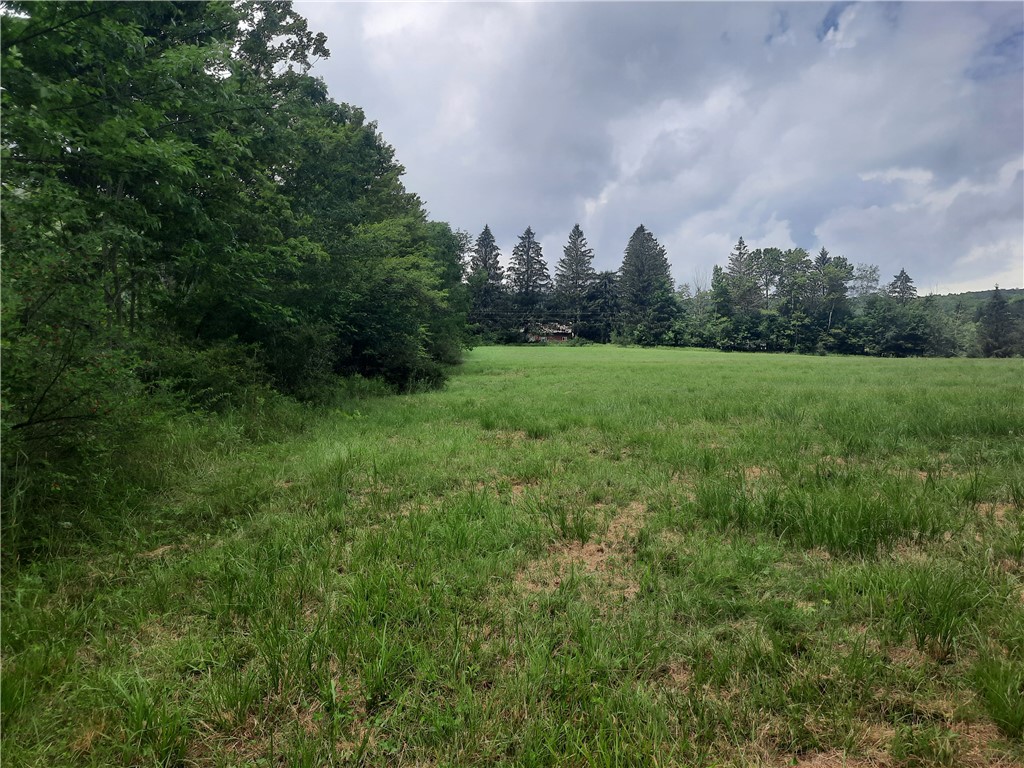 Tbd Lower Dingle Hill Road Andes, NY 13731 - Photo 42 of 48