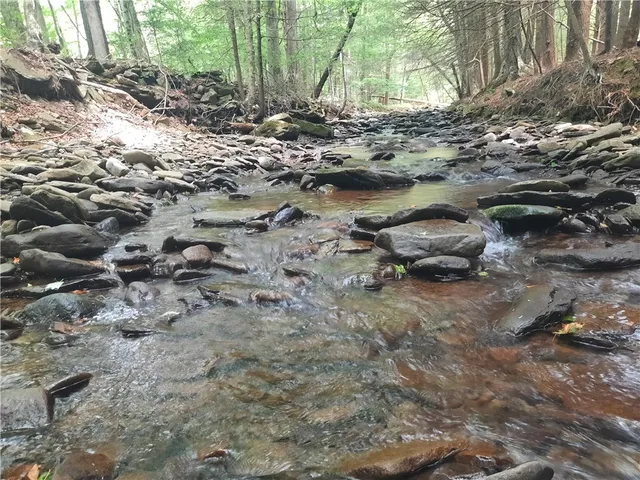 $249,000 | Tbd Lower Dingle Hill Road, Andes, NY 13731
