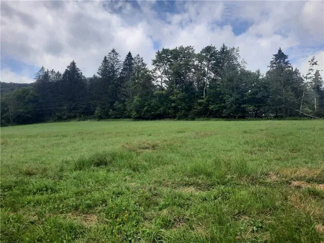 $249,000 | Tbd Lower Dingle Hill Road, Andes, NY 13731