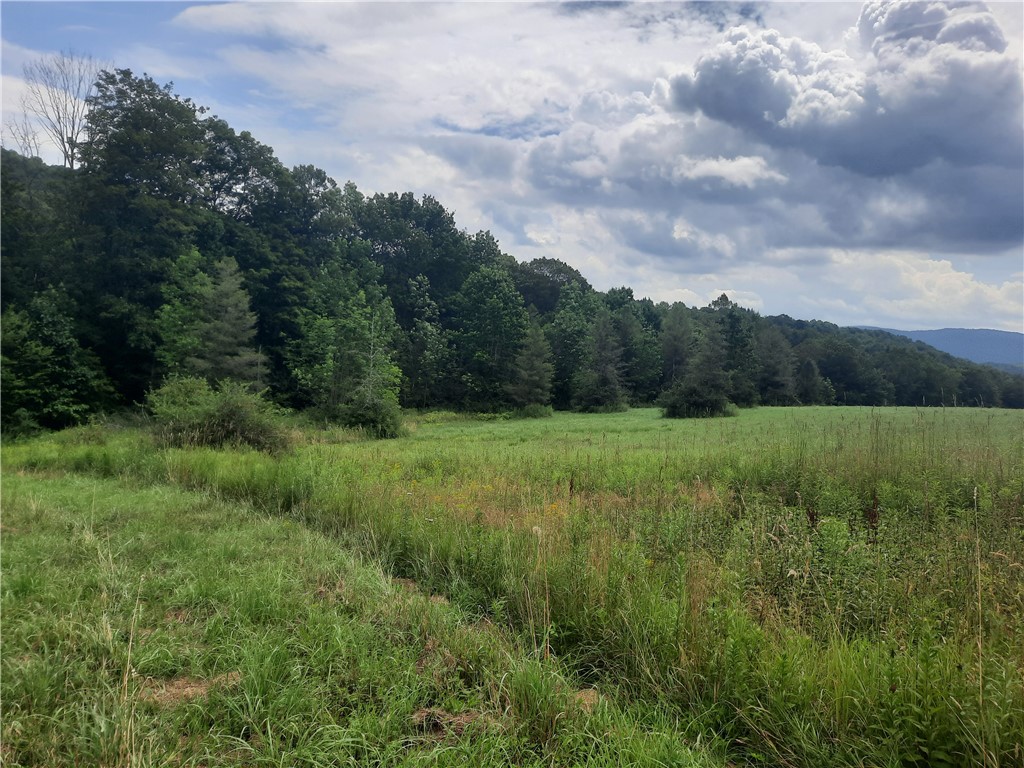 Tbd Lower Dingle Hill Road Andes, NY 13731 - Photo 45 of 48