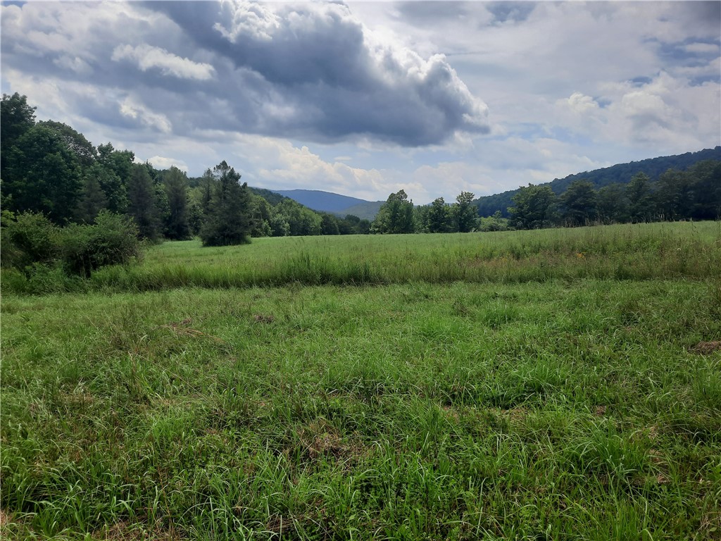 Tbd Lower Dingle Hill Road Andes, NY 13731 - Photo 46 of 48