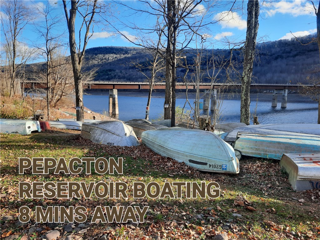 Tbd Lower Dingle Hill Road Andes, NY 13731 - Photo 47 of 48