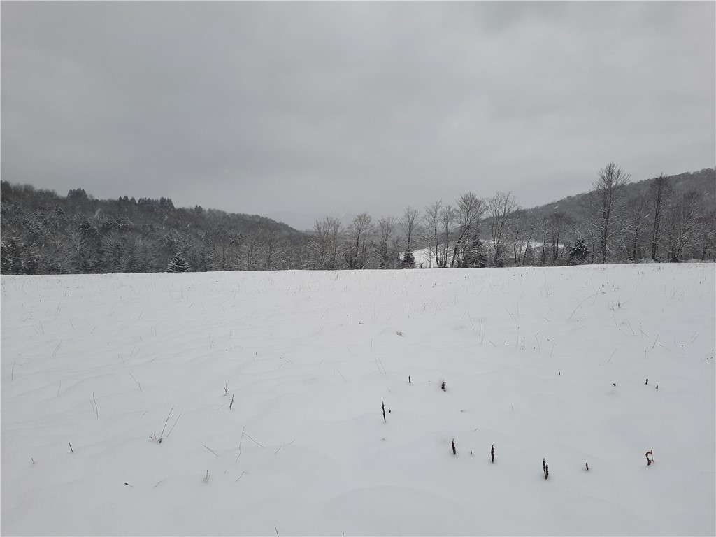 Tbd Lower Dingle Hill Road Andes, NY 13731 - Photo 50 of 50