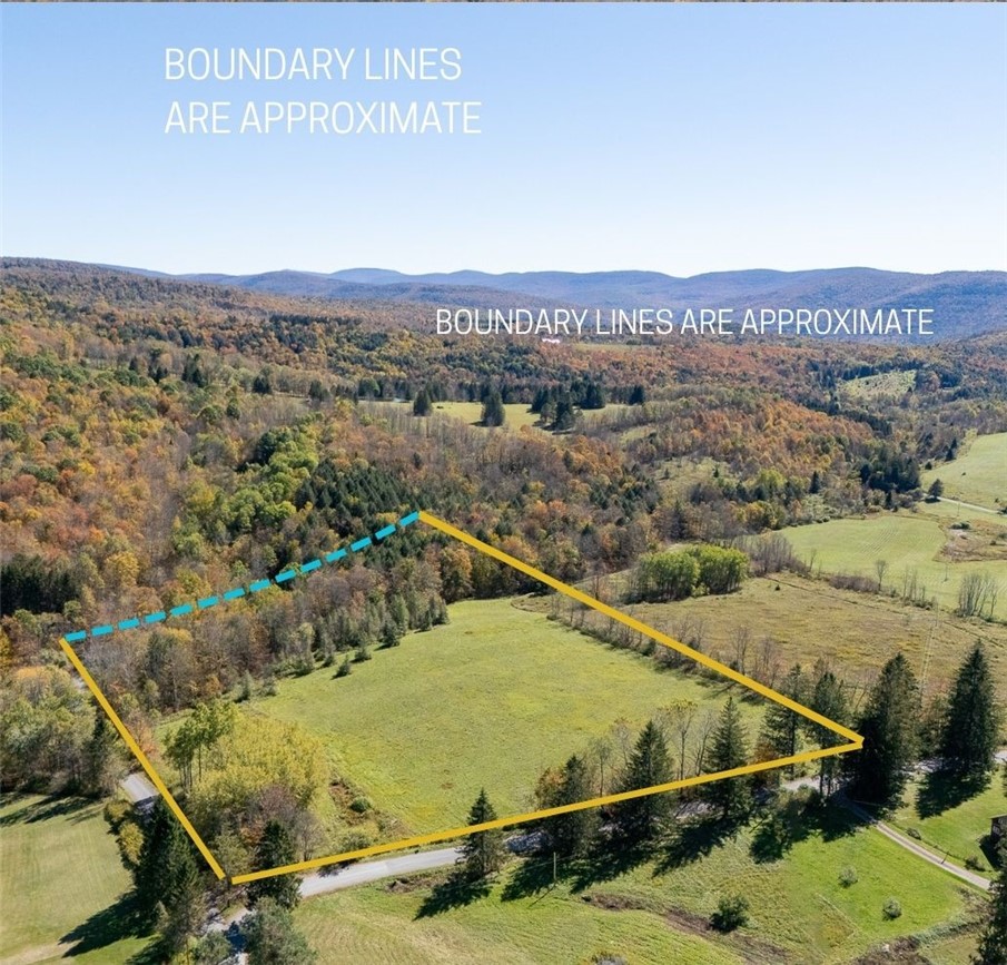 Tbd Lower Dingle Hill Road Andes, NY 13731 - Photo 6 of 50