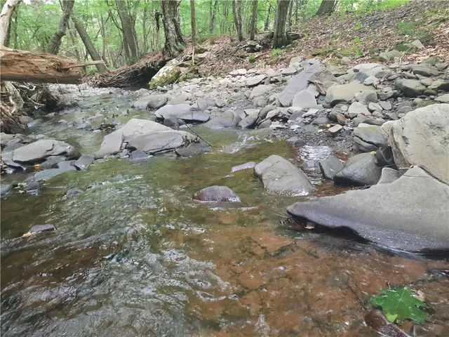 $249,000 | Tbd Lower Dingle Hill Road, Andes, NY 13731