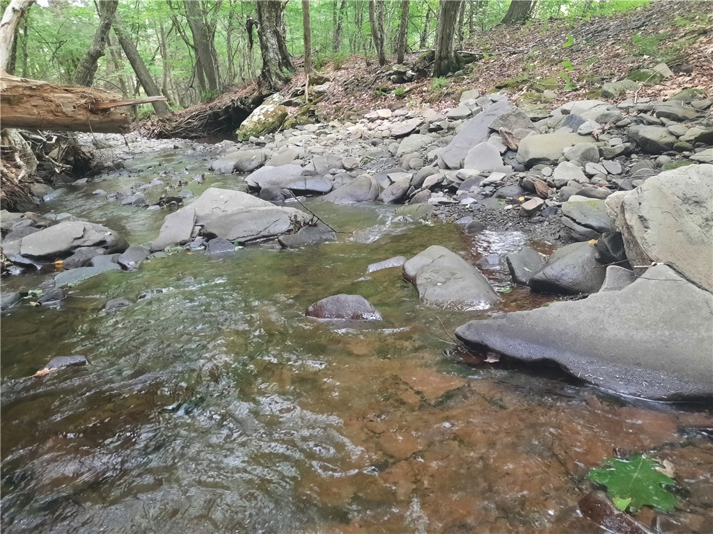 Tbd Lower Dingle Hill Road Andes, NY 13731 - Photo 6 of 48