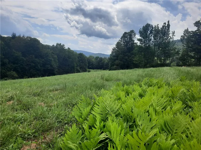 $249,000 | Tbd Lower Dingle Hill Road, Andes, NY 13731